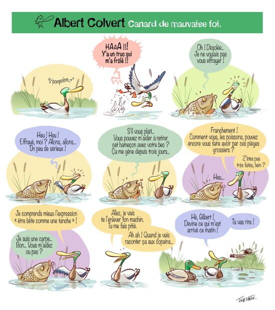 Albert Colvert5